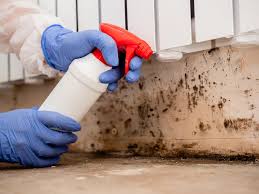 Best Mold Remediation for Healthcare Facilities  in Oak Ridge, FL